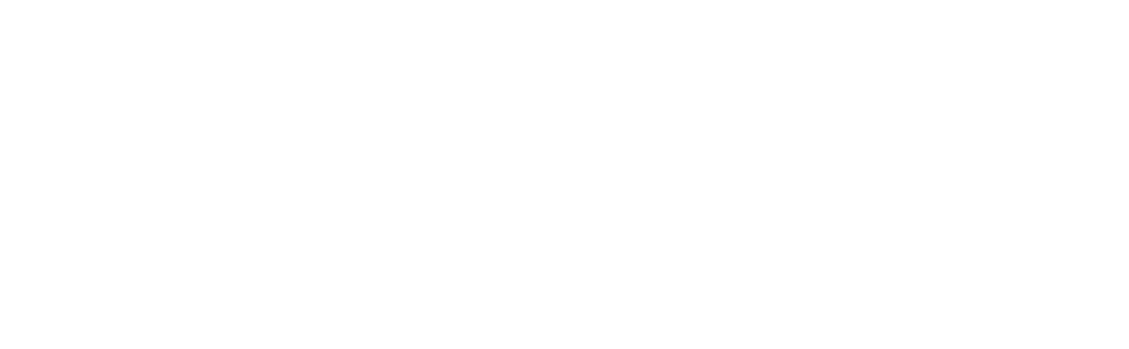 ww partners logo www biaŁe