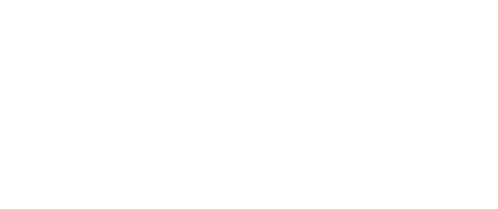 akademia biznesu logo biale